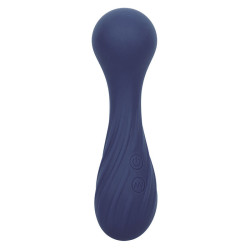 Calexotics - Charisma Temptation Masseur 12 Fonctions Violet